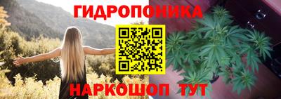 стафф Рязань