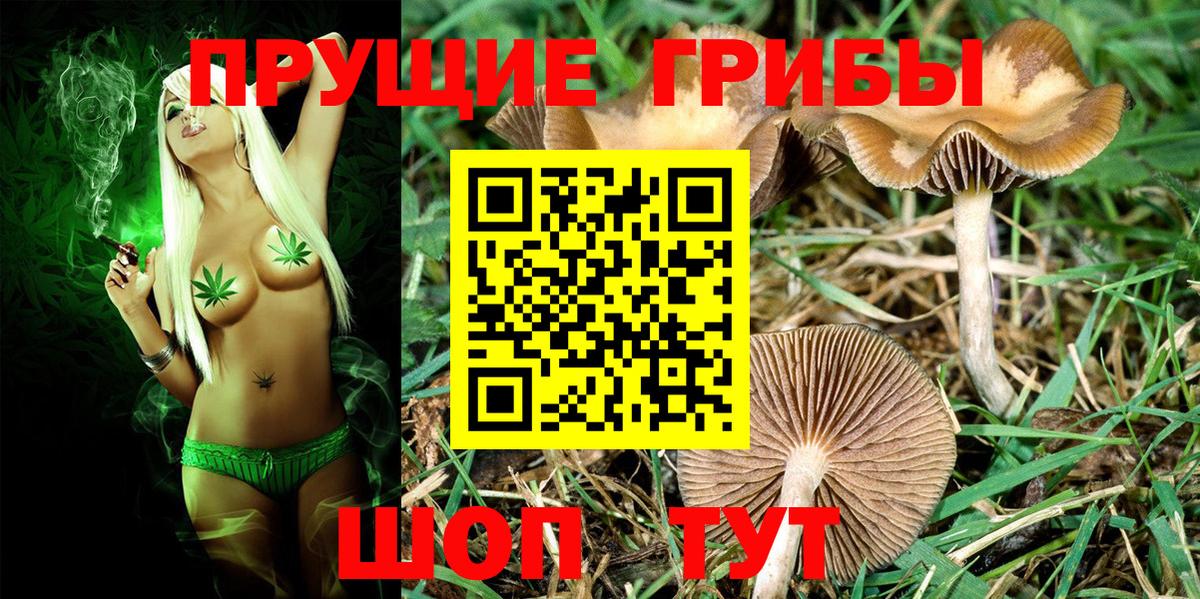 Россошь  Галлюциногенные грибы прущие грибы  Вход с VPN 
